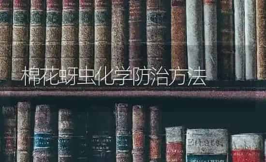 棉花蚜虫化学防治方法 | 粮油作物种植