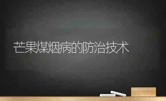 芒果煤烟病的防治技术 | 瓜果种植