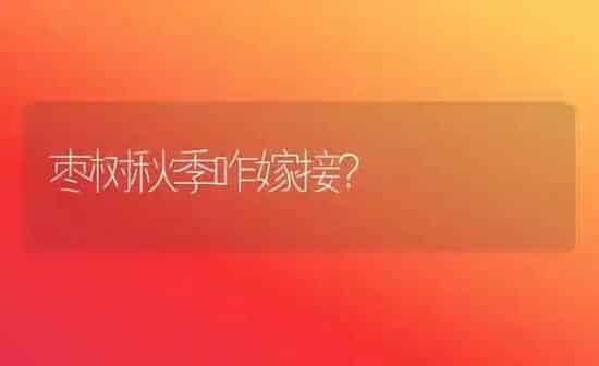 夏季苹果园追肥 掌握四要点 | 瓜果种植