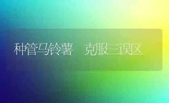 种管马铃薯 克服三误区 | 粮油作物种植