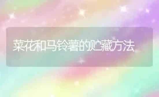 菜花和马铃薯的贮藏方法 | 蔬菜种植