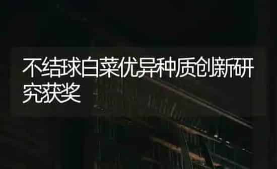 不结球白菜优异种质创新研究获奖 | 蔬菜种植