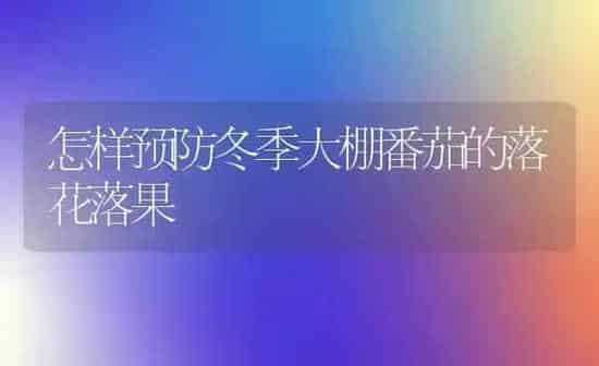 怎样预防冬季大棚番茄的落花落果 | 瓜果种植