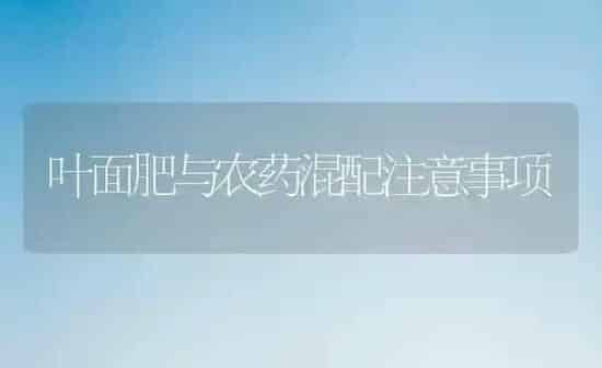 叶面肥与农药混配注意事项 | 种植病虫害防治