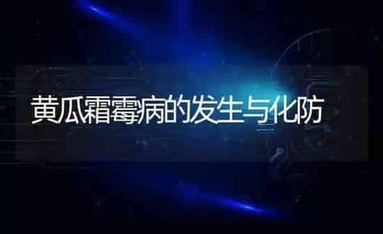 黄瓜霜霉病的发生与化防 | 蔬菜种植