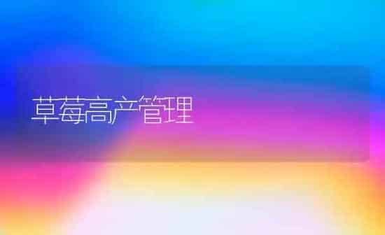 草莓高产管理 | 瓜果种植