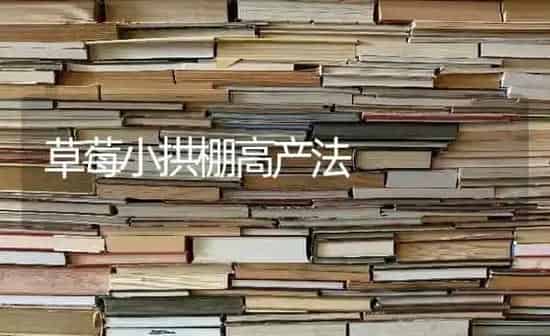 草莓小拱棚高产法 | 瓜果种植