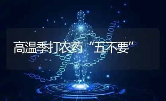 高温季打农药“五不要” | 种植病虫害防治