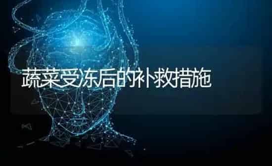 蔬菜受冻后的补救措施 | 蔬菜种植