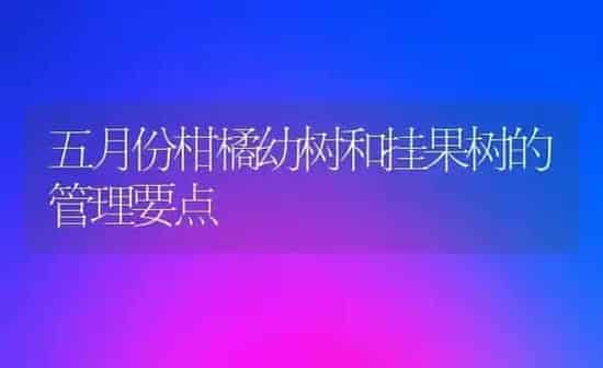五月份柑橘幼树和挂果树的管理要点 | 瓜果种植