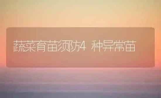 蔬菜育苗须防4种异常苗 | 蔬菜种植
