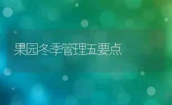 果园冬季管理五要点 | 瓜果种植