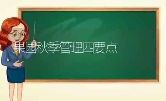 果园秋季管理四要点 | 瓜果种植