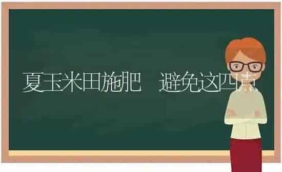夏玉米田施肥 避免这四点 | 种植肥料施肥