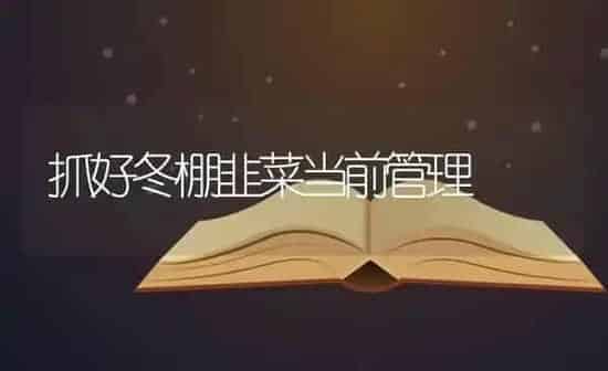 抓好冬棚韭菜当前管理 | 蔬菜种植
