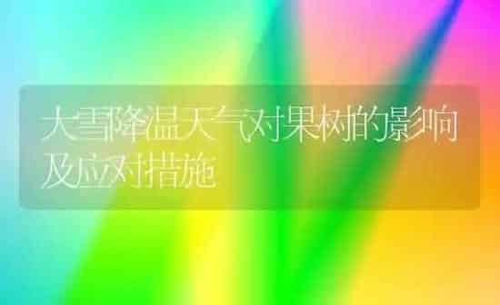 大雪降温天气对果树的影响及应对措施 | 瓜果种植
