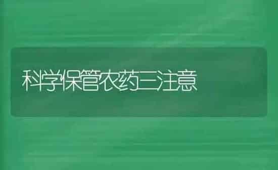 科学保管农药三注意 | 种植病虫害防治