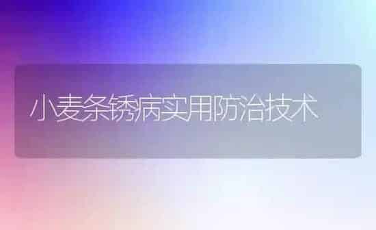 小麦条锈病实用防治技术 | 粮油作物种植