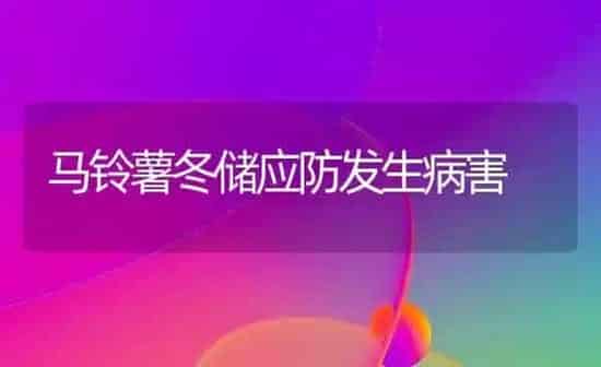 马铃薯冬储应防发生病害 | 粮油作物种植