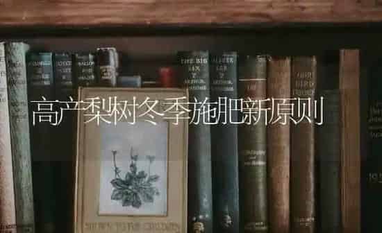 高产梨树冬季施肥新原则 | 种植肥料施肥
