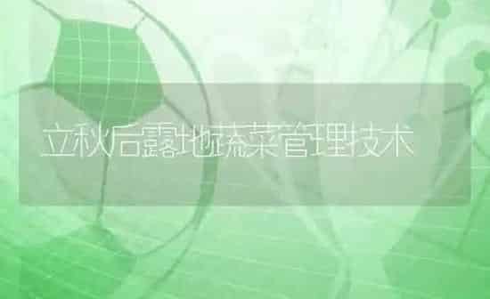 立秋后露地蔬菜管理技术 | 蔬菜种植