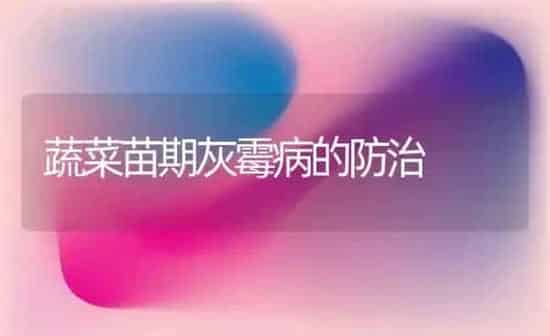 蔬菜苗期灰霉病的防治 | 蔬菜种植