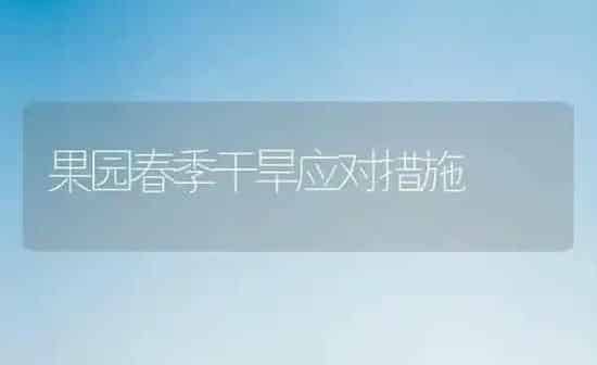 果园春季干旱应对措施 | 瓜果种植