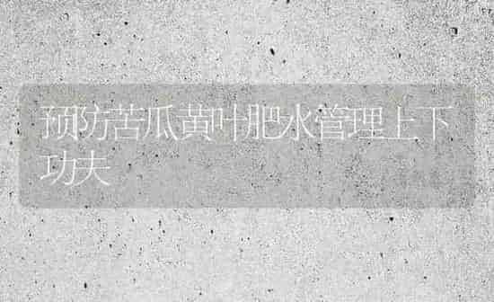 预防苦瓜黄叶肥水管理上下功夫 | 蔬菜种植