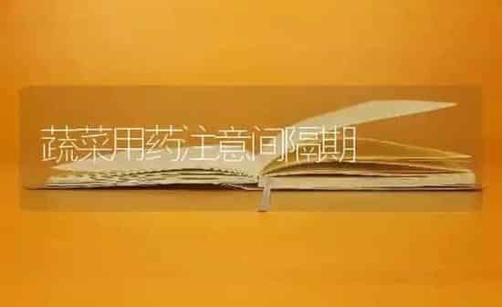 蔬菜用药注意间隔期 | 蔬菜种植