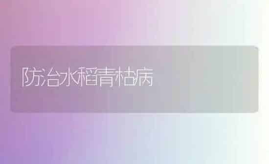 防治水稻青枯病 | 粮油作物种植