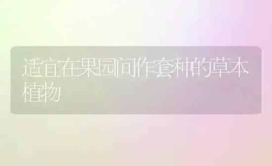 适宜在果园间作套种的草本植物 | 瓜果种植