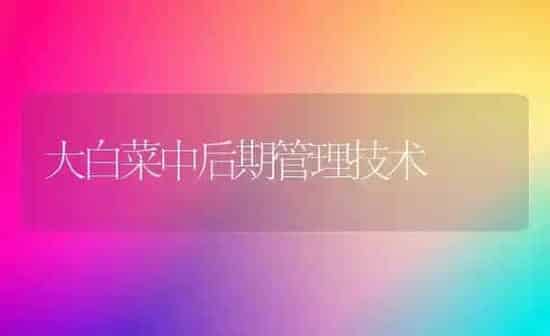大白菜中后期管理技术 | 蔬菜种植