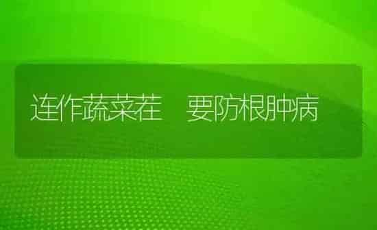 连作蔬菜茬 要防根肿病 | 蔬菜种植