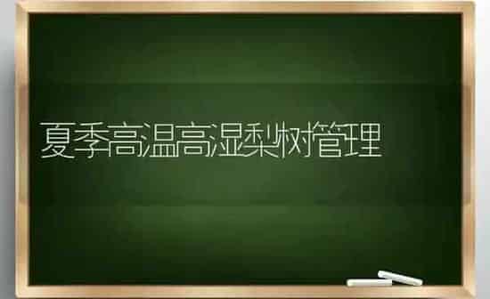 果树要丰产 冬剪是关键 | 瓜果种植