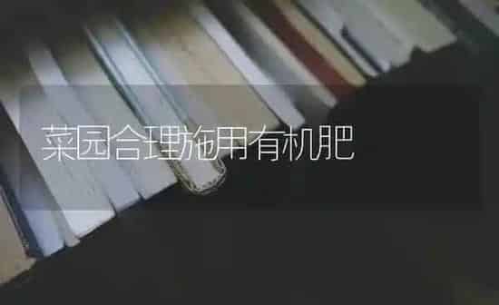菜园合理施用有机肥 | 蔬菜种植