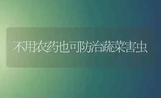 不用农药也可防治蔬菜害虫 | 蔬菜种植