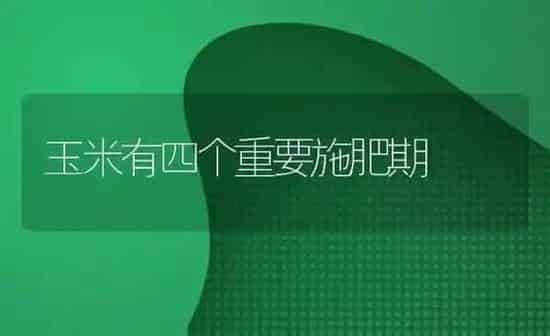 棚室蔬菜要做好“五防” | 蔬菜种植