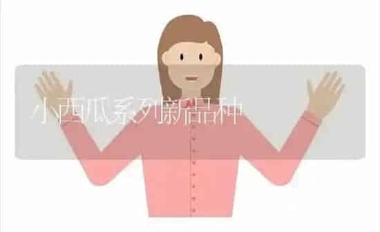 小西瓜系列新品种 | 瓜果种植