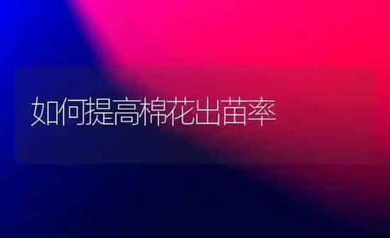 如何提高棉花出苗率 | 粮油作物种植