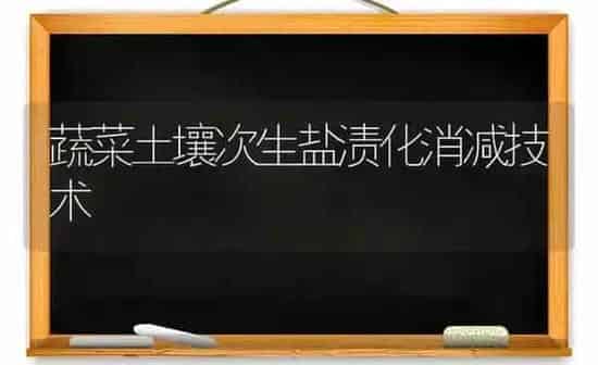 蔬菜土壤次生盐渍化消减技术 | 蔬菜种植