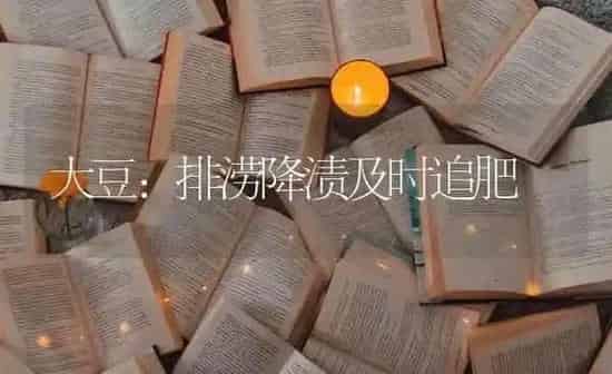 大豆：排涝降渍及时追肥 | 粮油作物种植