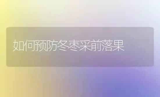如何预防冬枣采前落果 | 瓜果种植