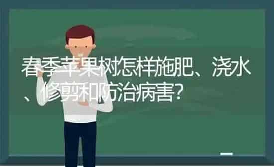 春季苹果树怎样施肥、浇水、修剪和防治病害? | 瓜果种植