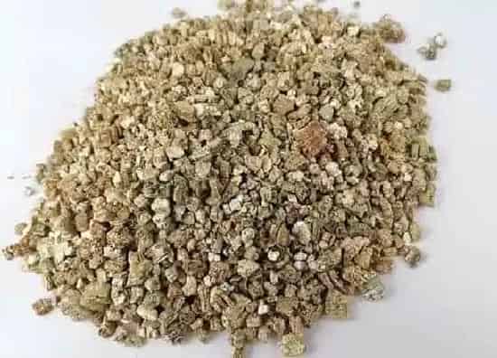 种植土壤|蛭石可以直接种花吗