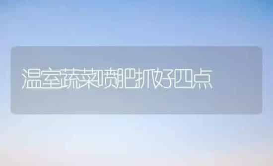 温室蔬菜喷肥抓好四点 | 蔬菜种植