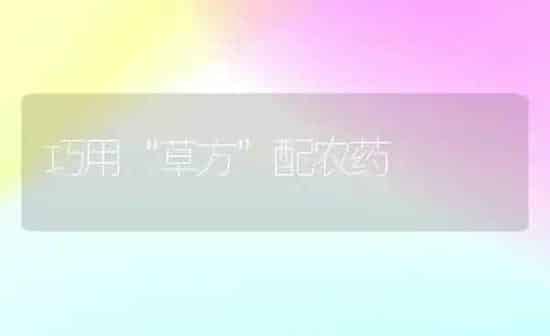 巧用“草方”配农药 | 种植病虫害防治