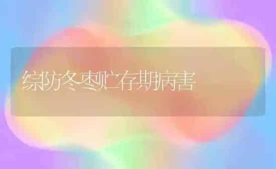 综防冬枣贮存期病害 | 瓜果种植