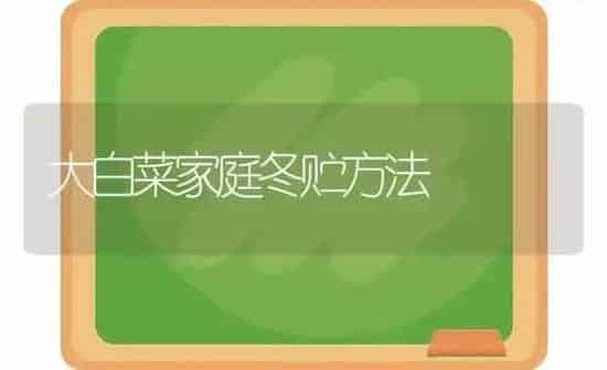 大白菜家庭冬贮方法 | 蔬菜种植