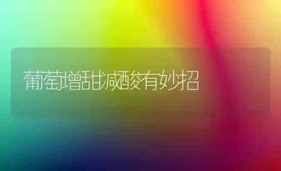 葡萄增甜减酸有妙招 | 瓜果种植