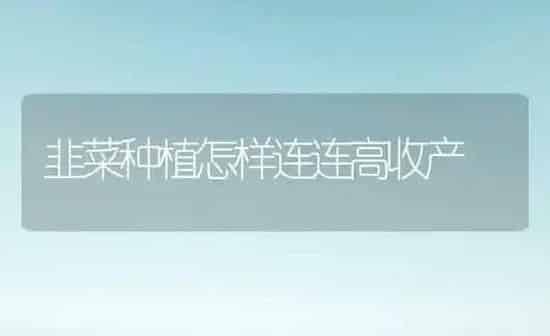 韭菜种植怎样连连高收产 | 植物种植百科